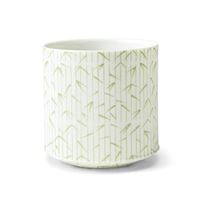 Miyama Sasasa Cup Green 200ml Miyama Sasasa Cup Green 200ml